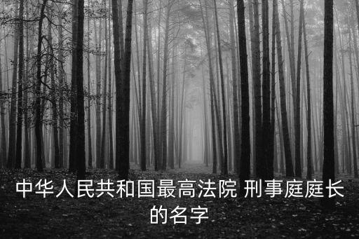 中華人民共和國最高法院 刑事庭庭長的名字