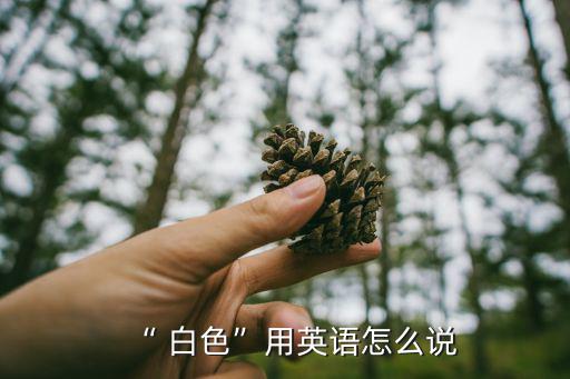 “ 白色”用英語怎么說