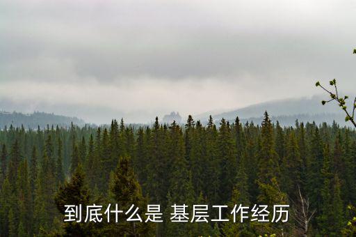 基層工作,退役士兵軍隊服役經(jīng)歷可視為基層工作經(jīng)歷