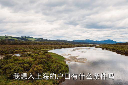 我想入上海的戶口有什么條件嗎