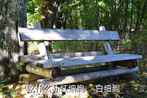 吃什么補紅細胞、 白細胞