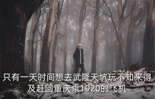 只有一天時(shí)間想去武隆天坑玩不知來(lái)得及趕回重慶乘1920的飛機(jī)