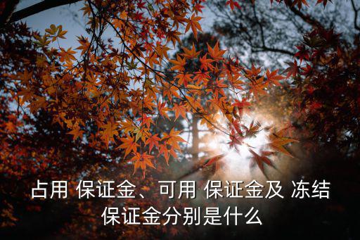 凍結(jié)保證金,消費(fèi)者保護(hù)保證金可取消但不能退