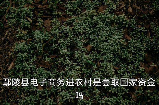 鄢陵縣電子商務進農村是套取國家資金嗎
