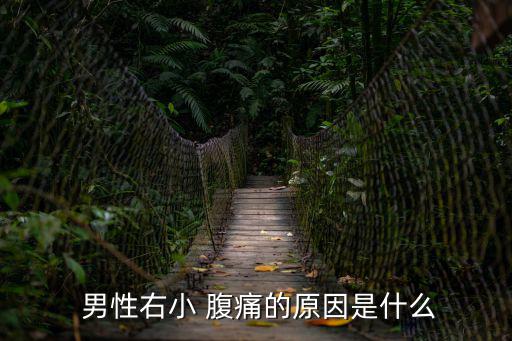 小腹痛男性,男性小腹痛可能是前列腺炎引起的