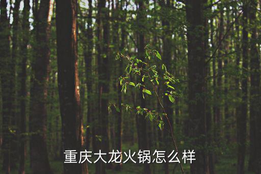 重慶大龍火鍋怎么樣