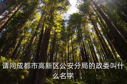 請問成都市高新區(qū)公安分局的政委叫什么名字