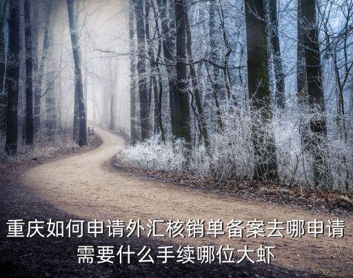 重慶如何申請外匯核銷單備案去哪申請需要什么手續哪位大蝦