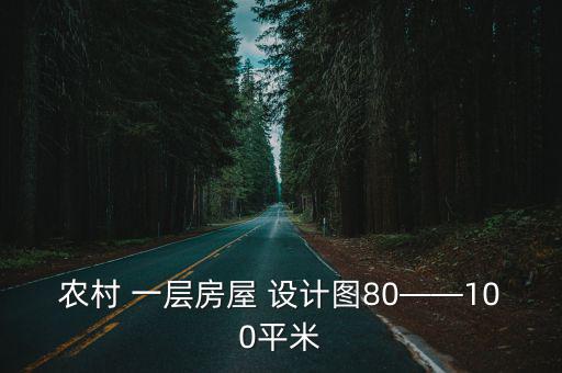 農(nóng)村 一層房屋 設計圖80——100平米
