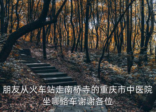 朋友從火車站走南橋寺的重慶市中醫(yī)院坐哪路車謝謝各位
