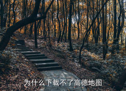 為什么下載不了高德地圖