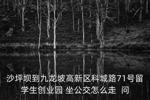 沙坪壩到九龍坡高新區科城路71號留學生創業園 坐公交怎么走  問