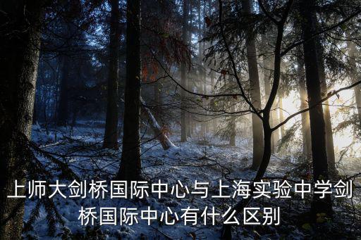 上師大劍橋國(guó)際中心與上海實(shí)驗(yàn)中學(xué)劍橋國(guó)際中心有什么區(qū)別