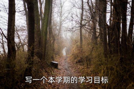 寫一個(gè)本學(xué)期的學(xué)習(xí)目標(biāo)