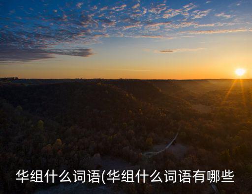 華組什么詞語(華組什么詞語有哪些