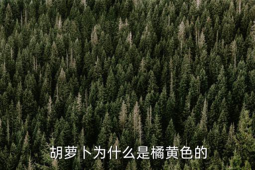  胡蘿卜為什么是橘黃色的
