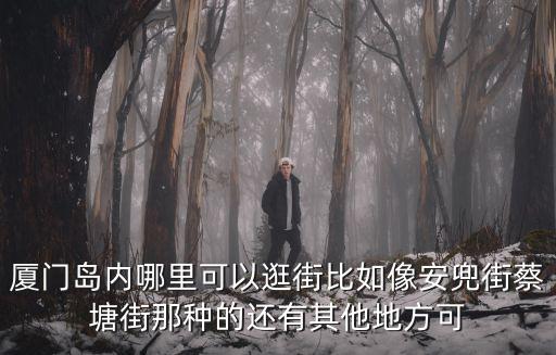 廈門島內(nèi)哪里可以逛街比如像安兜街蔡塘街那種的還有其他地方可