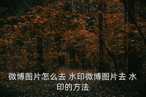 微博圖片怎么去 水印微博圖片去 水印的方法