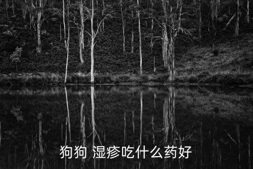 狗狗 濕疹吃什么藥好