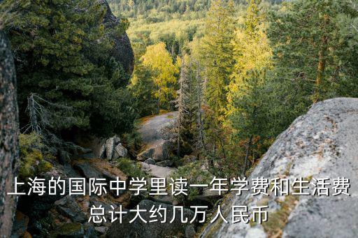 上海中學國際部學費多少一學期，上海的有國際部的中學哪個好或者哪個國際學校好學費多少搜