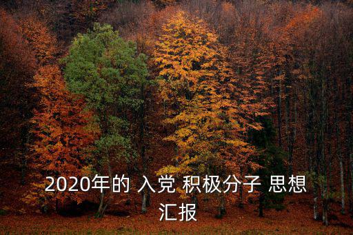 2020年的 入黨 積極分子 思想 匯報