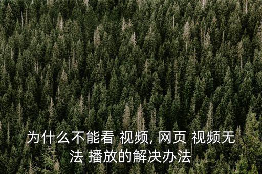 為什么不能看 視頻, 網頁 視頻無法 播放的解決辦法