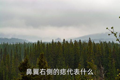 鼻翼右側的痣代表什么