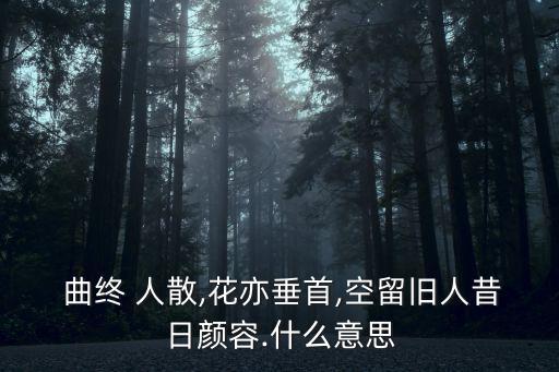  曲終 人散,花亦垂首,空留舊人昔日顏容.什么意思