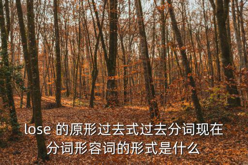 lose 的原形過去式過去分詞現在分詞形容詞的形式是什么