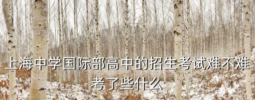 上海中學國際部高中的招生考試難不難考了些什么