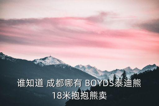 誰知道 成都哪有 BOYDS泰迪熊18米抱抱熊賣