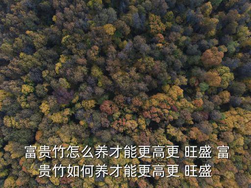 富貴竹怎么養才能更旺盛,盆栽富貴竹怎么養?