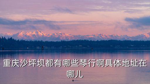 重慶沙坪壩都有哪些琴行啊具體地址在哪兒