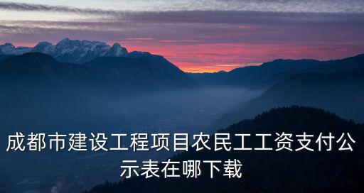 成都市建設工程項目農民工工資支付公示表在哪下載