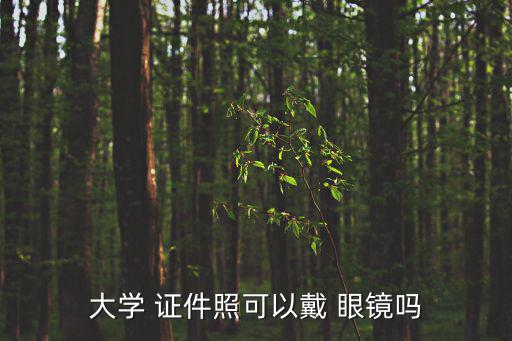 大學(xué) 證件照可以戴 眼鏡嗎