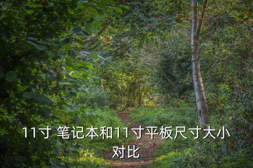 11寸 筆記本和11寸平板尺寸大小對比