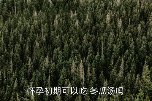 懷孕初期可以吃 冬瓜湯嗎