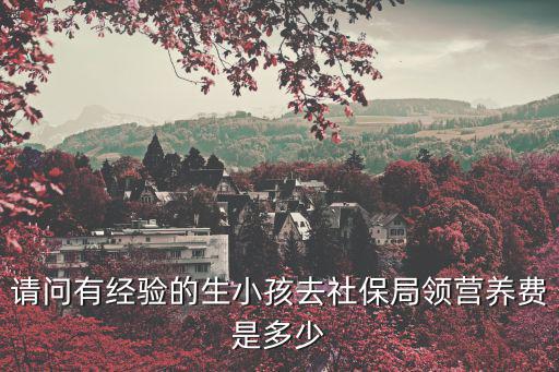請問有經驗的生小孩去社保局領營養費是多少