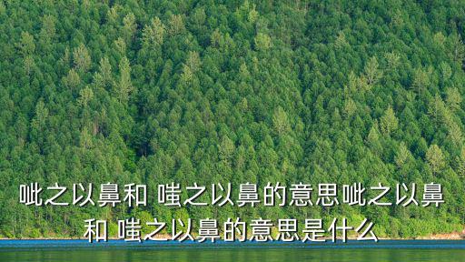 呲之以鼻和 嗤之以鼻的意思呲之以鼻和 嗤之以鼻的意思是什么