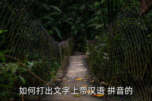 帶拼音,輸入文字標記拼音方法如下