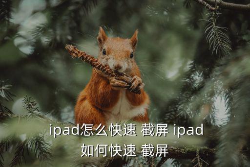  ipad怎么快速 截屏 ipad如何快速 截屏