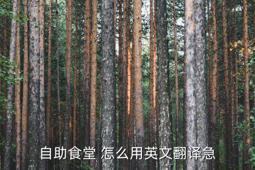 自助食堂 怎么用英文翻譯急