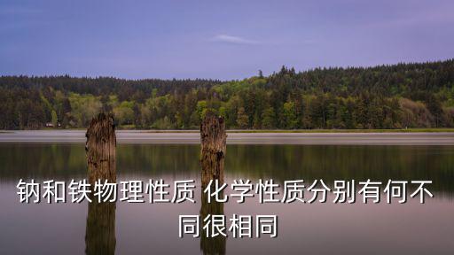鈉和鐵物理性質 化學性質分別有何不同很相同