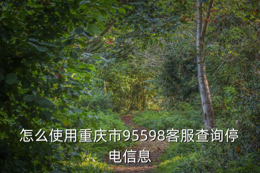 怎么使用重慶市95598客服查詢停電信息