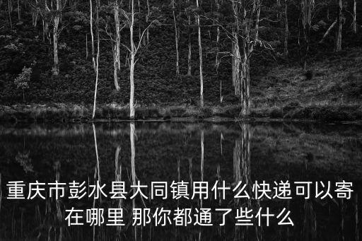 重慶市彭水縣大同鎮鎮委書記，大同市現任市委書記是誰