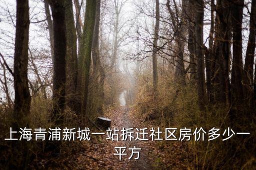 上海青浦新城一站拆遷社區房價多少一平方