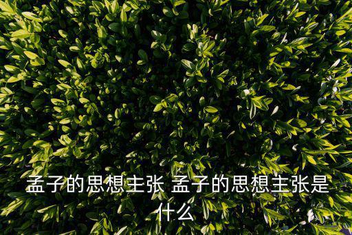  孟子的思想主張 孟子的思想主張是什么