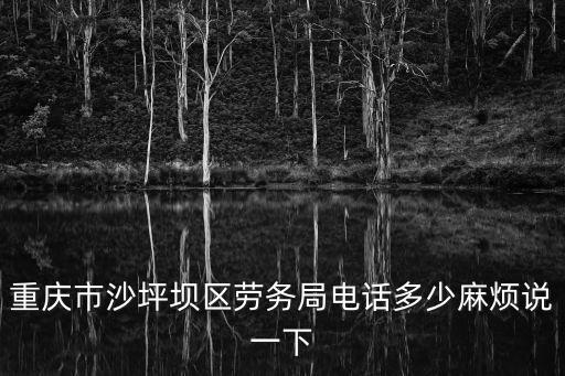 重慶市沙坪壩區勞務局電話多少麻煩說一下