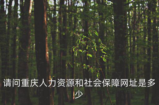 請問重慶人力資源和社會保障網址是多少