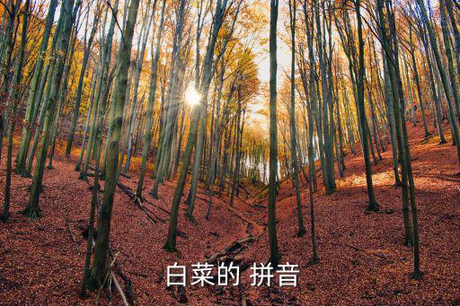  白菜的 拼音